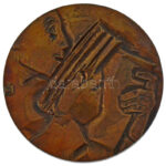 Nagy István János (1938-) DN 'Az olvasó munkásért' kétoldalas bronz emlékérem dísztokban (96mm) T:AU kis patina