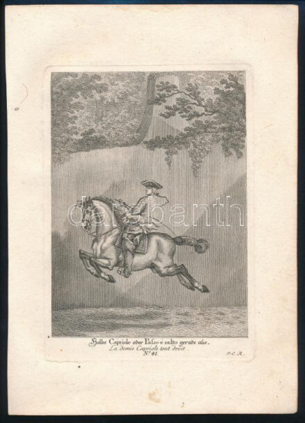 XVIII. század közepe Johann Elias Ridinger (1698-1767): Halbe Capriole oder Passo é salto gerade aus. La demie Capriole tout droit. No. 41. Rézmetszet, papír, jelzett a dúcon, lovas metszet, kis foltokkal, 20x14 cm, papír: 28x20 cm