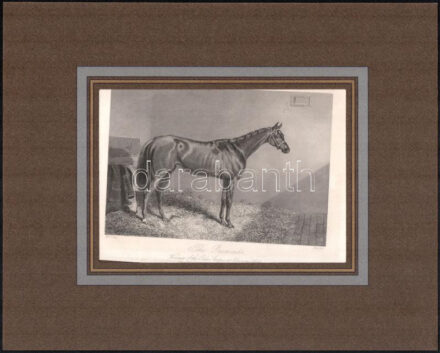 cca XIX. közepe The Princess. Winner of the Oaks. Shakes at Epsom 1844. Acélmetszet, papír, jelzett a dúcon (Herring - Hacker), paszpartuban, a metszet elmozdult a paszartuban, 10,5x15 cm, paszpartu: 24x30 cm
