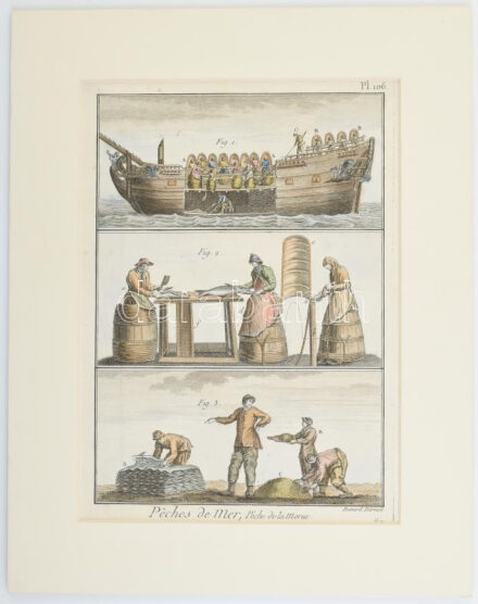 XVIII. század vége, Robert Bénard (1734 -1785): Peches de mer, Peche de la Morue, halászati témájú ábrázolás, In: Diderot - D'Alambert: Encyclopédie Pl. 106, színezett rézmetszet, papír, paszpartuban, 23x16 cm, paszpartu: 33x26 cm