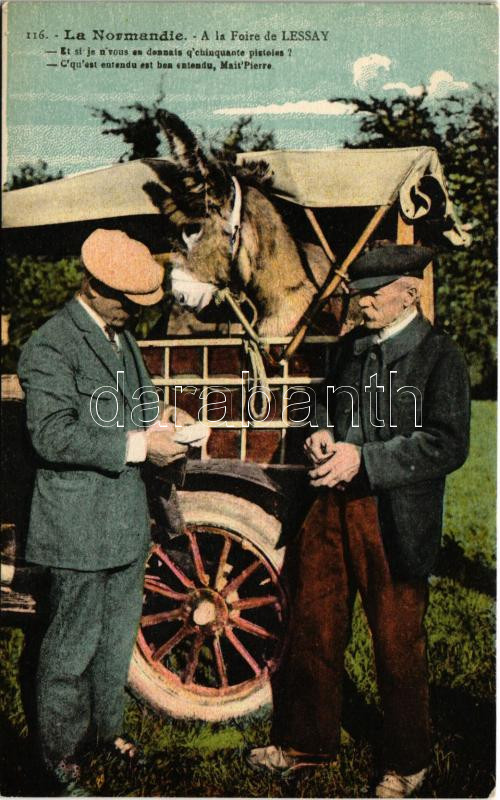 La Normandie. La Foire de Lessay, La Foire aux Anes / French folklore, donkey fair in Lessay (Normandy)