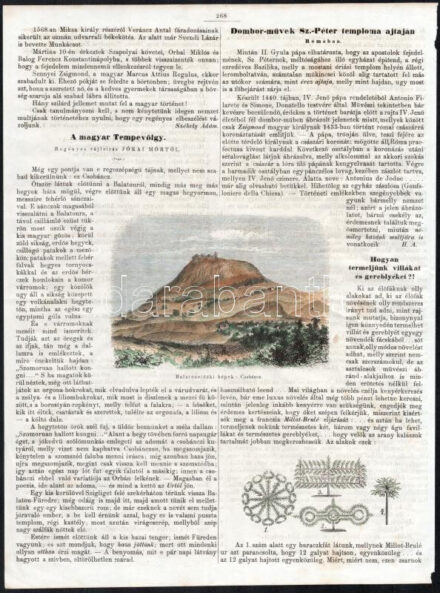 cca 1858 össz. 6 db színes Balatonvidéki tájkép és részlet (Csobáncz, Tátika, Szentmihályhegy, Palotai várkastély, stb.) a Vasárnapi Újságból kiemelt 4 lapon. Rotációs fametszet, papír, jelzés nélkül. 8x10,5 és 11,5x19,5 cm