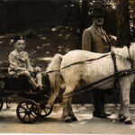 Budapest XIV. Állatkert, gyerekhintó pónival, levente, photo