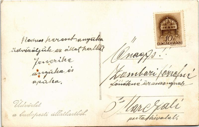 Budapest XIV. Állatkert, gyerekhintó pónival, levente, photo - Image 2