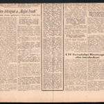 Magyar Népsport 1956. nov. 2. száma a forradalom alatti sport híreivel - Image 2