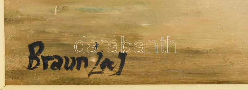 Braun Gábor (1975-): Romantikus táj. Olaj, farost, jelzett. Dekoratív fakeretben. 40x60 cm - Image 2