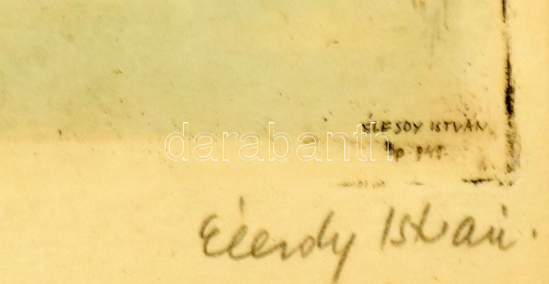 Élesdy István (1912-1987): Budapesti panoráma régi Erzsébet híddal. Színezett rézkarc, papír, jelzett. Üvegezett fa keretben, 17x23 cm - Image 2