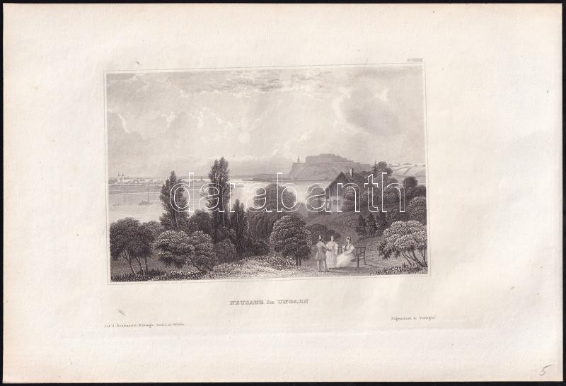 cca 1850 Újvidék látképe, Neusatz in Ungarn, acélmetszet, Hildburghausen, Kunstanstalt des Bibliographisches Instituts, jelzés nélkül, 10x15 cm