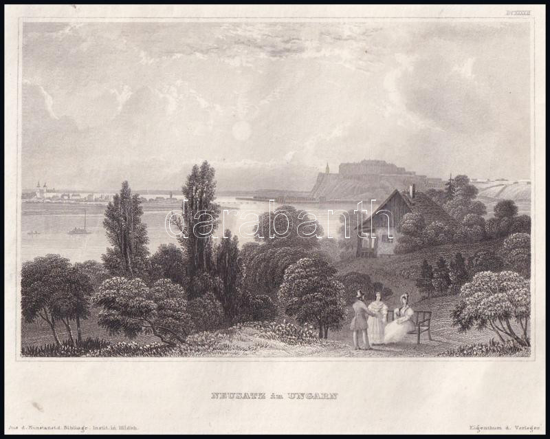 cca 1850 Újvidék látképe, Neusatz in Ungarn, acélmetszet, Hildburghausen, Kunstanstalt des Bibliographisches Instituts, jelzés nélkül, 10x15 cm - Image 2
