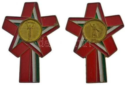 ~1970-1980. 'Forradalmi Ifjúsági Napok' jelvény tétel (2xklf) T:AU