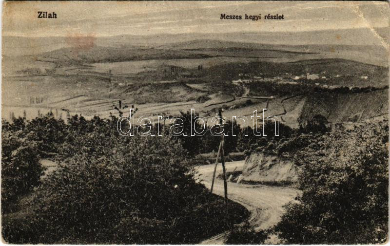 1918 Zilah, Zalau; Meszes hegyi részlet. Seres Samu kiadása / general view, road (EB)