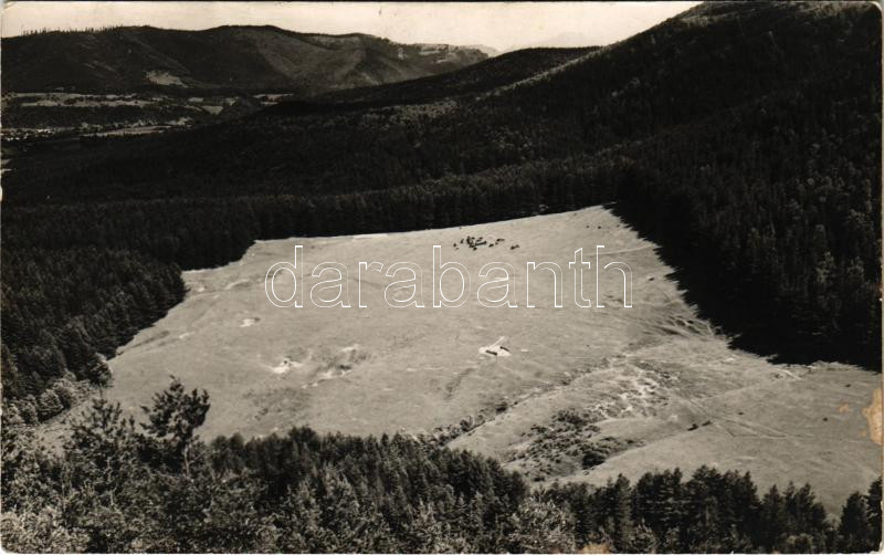1937 Hosszúfalu, Satulung (Négyfalu, Sacele); Poiana Anghelescu / látkép / general view. Foto 'Sport' G. Gödri (Cernatu) photo