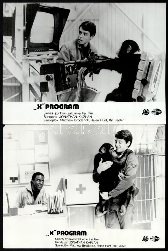 cca 1987 ,,X program' című amerikai film jelenetei és szereplői, 10 db vintage produkciós filmfotó, ezüst zselatinos fotópapíron, a használatból eredő (esetleges) kisebb hibákkal, 18x24 cm - Image 2