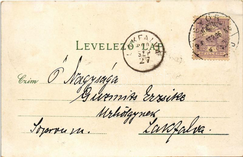 1900 Győr, Felső kereskedelmi iskola, Rába híd. Gregor Fischer Art Nouveau, floral - Image 2