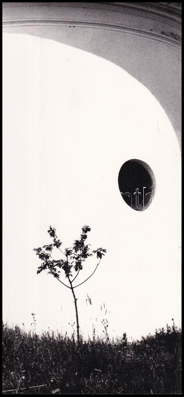 1966 Müller Ferenc: Kompozíció, feliratozott vintage fotóművészeti alkotás, ezüst zselatinos fotópapíron, 24x11,2 cm