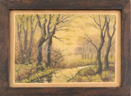 Nyáregyházi báró Nyáry Pál (?-?): Patak. Akvarell, papír. Jelezve jobbra lent. Üvegezett fakeretben, 20×29 cm