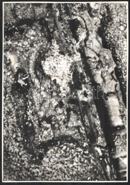 cca 1966 Jelzés nélküli vintage fotó, ezüst zselatinos ún. dokufotópapíron, kasírozva, a néhai Lapkiadó Vállalat fotólaborjában egy olyan borítékban tárolták, amelyen Konecsni György (grafikus és festőművész) neve állt,