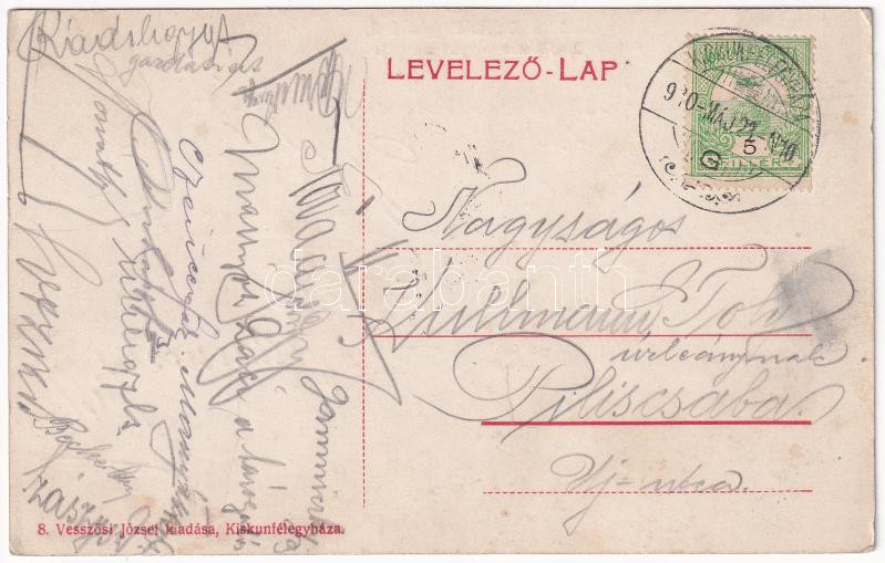1910 Kiskunfélegyháza, Ring testvérek nyári mulatója, kert. Vesszősi József kiadása - Image 2