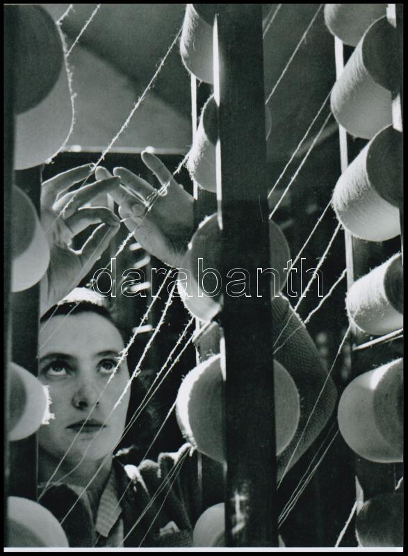 cca 1939 Szabó Lajos (?-?) újpesti fotóművész hagyatékából 1 db modern nagyítás (Ezer szál), 21x15 cm