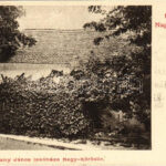 1902 Nagykőrös, Arany János lakóháza (szakadás / tear)