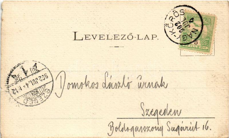 1902 Nagykőrös, Arany János lakóháza (szakadás / tear) - Image 2