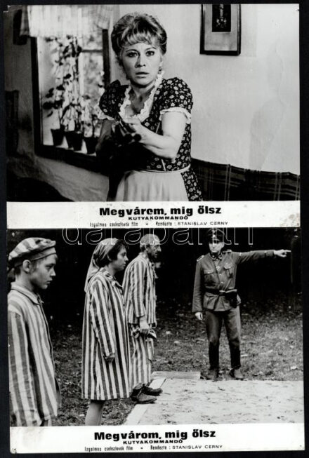 cca 1973 ,,Megvárom amíg ölsz - kutyakommandó' című csehszlovák film jelenetei és szereplői, 13 db vintage produkciós filmfotó, ezüst zselatinos fotópapíron, a használatból eredő (esetleges) kisebb hibákkal, 18x24 cm