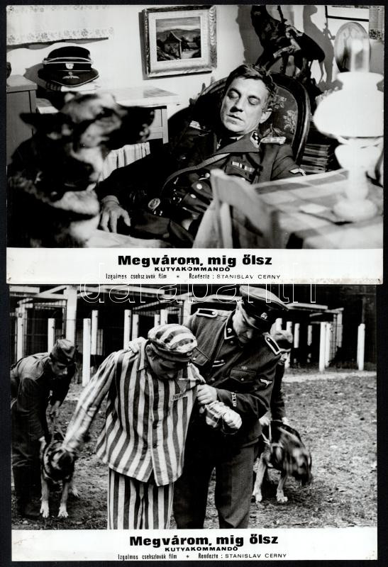 cca 1973 ,,Megvárom amíg ölsz - kutyakommandó' című csehszlovák film jelenetei és szereplői, 13 db vintage produkciós filmfotó, ezüst zselatinos fotópapíron, a használatból eredő (esetleges) kisebb hibákkal, 18x24 cm - Image 2