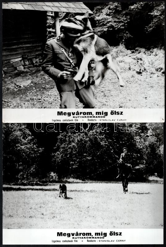 cca 1973 ,,Megvárom amíg ölsz - kutyakommandó' című csehszlovák film jelenetei és szereplői, 13 db vintage produkciós filmfotó, ezüst zselatinos fotópapíron, a használatból eredő (esetleges) kisebb hibákkal, 18x24 cm - Image 3