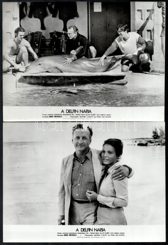 cca 1973 ,,A delfin napja' című amerikai tudományos - fantasztikus film jelenetei és szereplői, 6 db vintage produkciós filmfotó, ezüst zselatinos fotópapíron, a használatból eredő jelentősebb hibákkal, 18x24 cm - Image 2