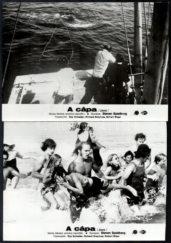cca 1975 Steven Spielberg ,,A cápa' című amerikai kalandfilmjének jelenetei, 8 db vintage produkciós filmfotó, ezüst zselatinos fotópapíron, a használatból eredő (esetleges) kisebb hibákkal, 18x24 cm