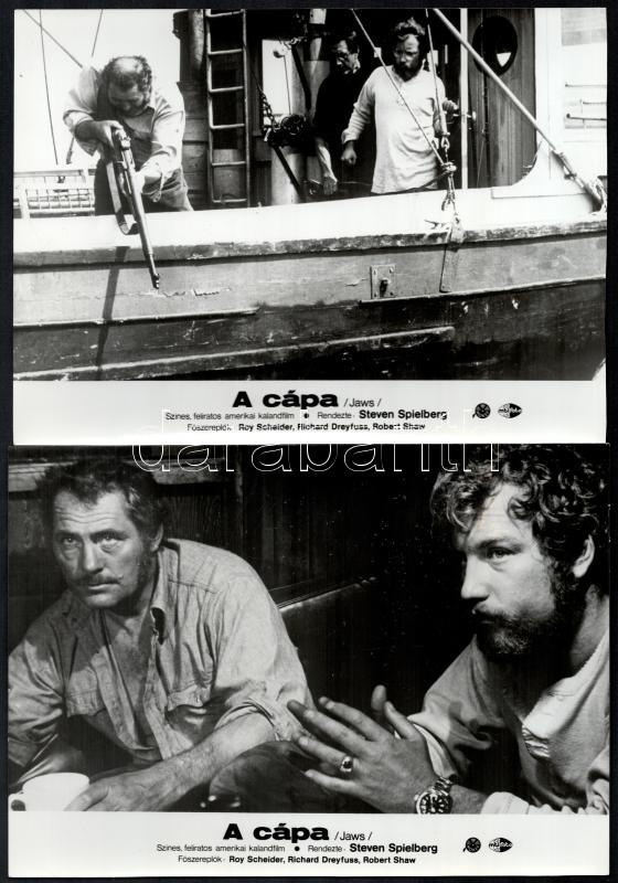cca 1975 Steven Spielberg ,,A cápa' című amerikai kalandfilmjének jelenetei, 8 db vintage produkciós filmfotó, ezüst zselatinos fotópapíron, a használatból eredő (esetleges) kisebb hibákkal, 18x24 cm - Image 2