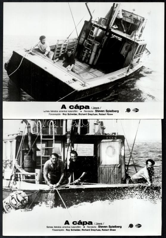 cca 1975 Steven Spielberg ,,A cápa' című amerikai kalandfilmjének jelenetei, 8 db vintage produkciós filmfotó, ezüst zselatinos fotópapíron, a használatból eredő (esetleges) kisebb hibákkal, 18x24 cm - Image 3