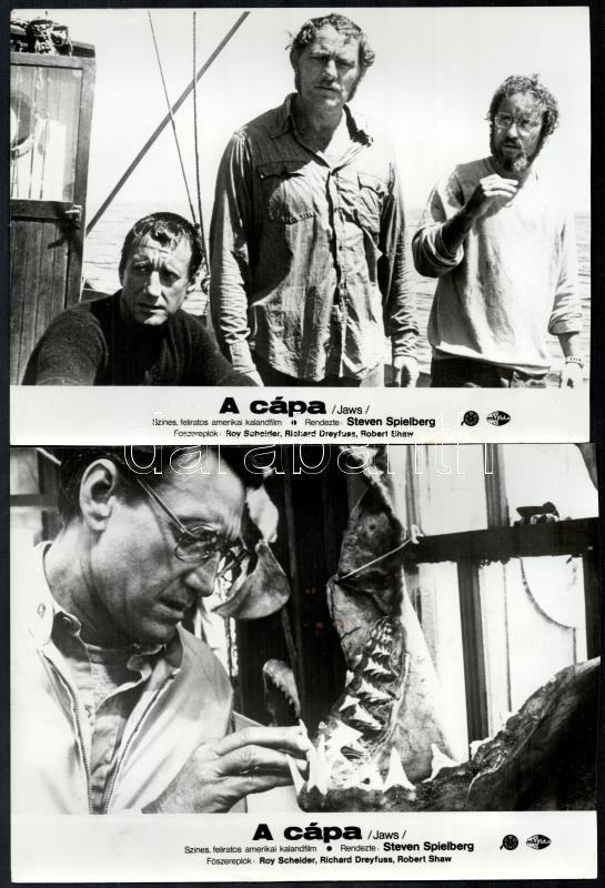 cca 1975 Steven Spielberg ,,A cápa' című amerikai kalandfilmjének jelenetei, 8 db vintage produkciós filmfotó, ezüst zselatinos fotópapíron, a használatból eredő (esetleges) kisebb hibákkal, 18x24 cm - Image 4