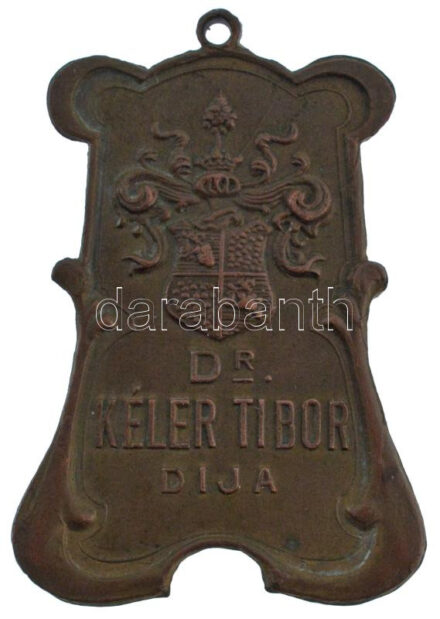 DN 'Dr. Kéler Tibor díja' bronz medál füllel (41x28mm) T:AU
