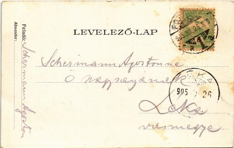 1905 Pozsony, Pressburg, Bratislava; Duna, ingahajó, vár a háttérben. Neffe J. kiadása / Danube river, shuttle steamboat, castle (fl) - Image 2