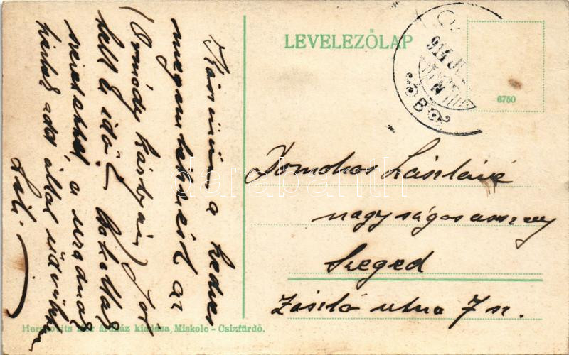 1914 Csíz, Csízfürdő, Kúpele Cíz; Sétány pihenővel. Herskovits Mór kiadása / promenade with rest place (fl) - Image 2