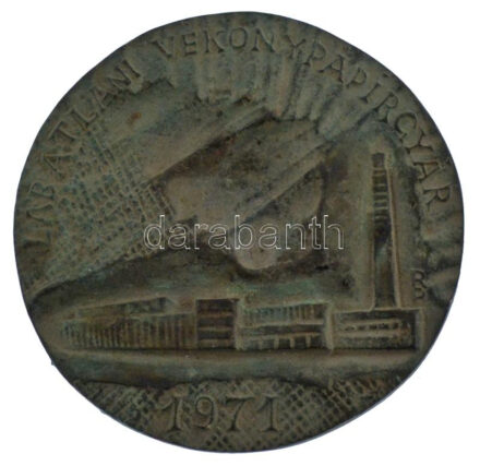 1971. 'Lábatlani Vékonypapírgyár építőjének' egyoldalas, öntött bronz plakett. Szign.: RP (108mm) T:XF patina