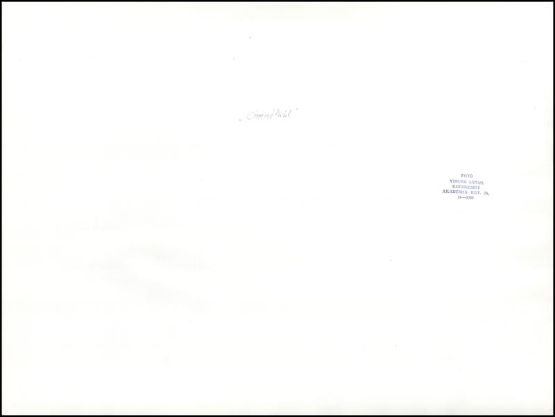 cca 1979 Vincze János (1922-1999) kecskeméti fotóművész hagyatékából, pecséttel jelzett, vintage fotóművészeti alkotás (csónakok szolarizálva), ezüst zselatinos fotópapíron, enyhén hullámosra szárítva, 30x39,7 cm - Image 2