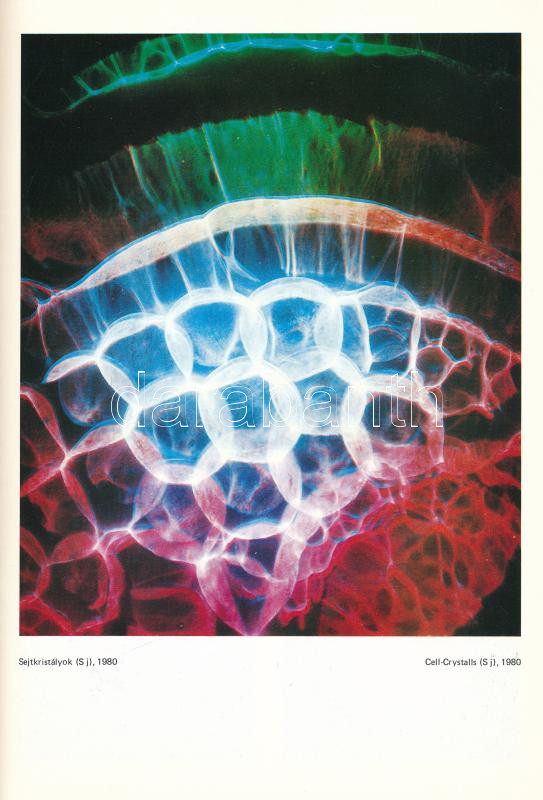 Csáji Attila kiállítási katalógus. Műcsarnok, 1988-89, Festmények, hologramok, fényművészet, lézer. - Image 3