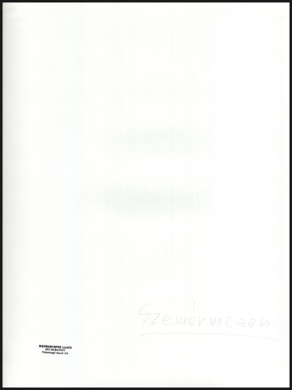 cca 1987 Menesdorfer Lajos (1941-2005) budapesti fotóművész hagyatékából, pecséttel jelzett, feliratozott, vintage fotóművészeti alkotás (Szemérmesen), ezüst zselatinos fotópapíron, egyik sarka retusált, 40x30 cm - Image 2