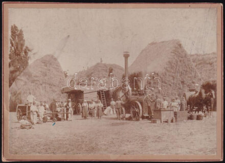 cca 1900-1910 Bazini (Pezinok/Bösing) cséplés, fotó kartonon, a hátoldalán feliratozva, a felületén karcolásokkal, folttal, 13x18 cm