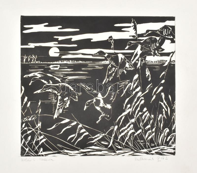 Urbán L. Valéria (?-): Vadkacsák. Linómetszet, papír, jelzett. Paszpartuban. 17,5x19 cm