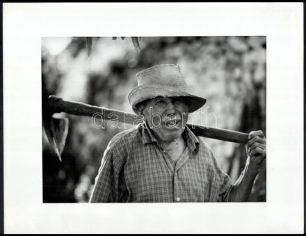cca 1985 Gyenes Kálmán (1941-2016) szegedi fotóművész hagyatékából feliratozott, vintage fotóművészeti alkotás (Öregapám a szőlőben), ezüst zselatinos fotópapíron, Buenos Aires-i kiállítás emlékbélyegével, 30x38 cm