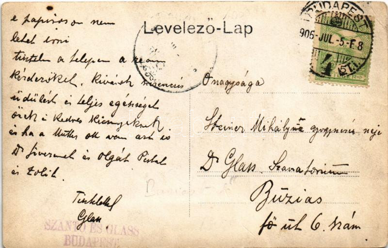 1906 Buziás, Dr. Glass szanatórium fürdő vendégekkel / sanatorium with spa guests. photo (EK) - Image 2