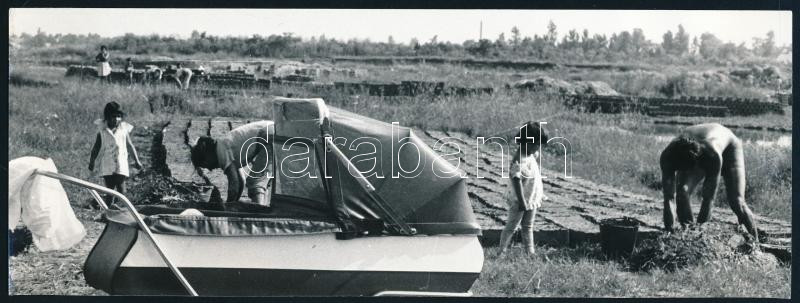 cca 1978 Kurucz János (1923-?) miskolci fotóművész pecsétjével jelzett, vintage fotóművészeti alkotás (Alföldi házgyár), ezüst zselatinos fotópapíron, 9x24 cm