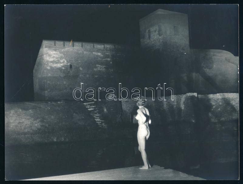 cca 1978 A gyulai vár éjszakai látogatója, Balogh Ferenc (1923-1993) békéscsabai fotóművész hagyatékából, jelzés nélküli, vintage fotóművészeti alkotás, ezüst zselatinos fotópapíron, 17,8x23,8 cm