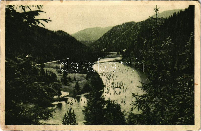 Gyilkos-tó, Ghilcos, Lacul Rosu; (ázott / wet damage)