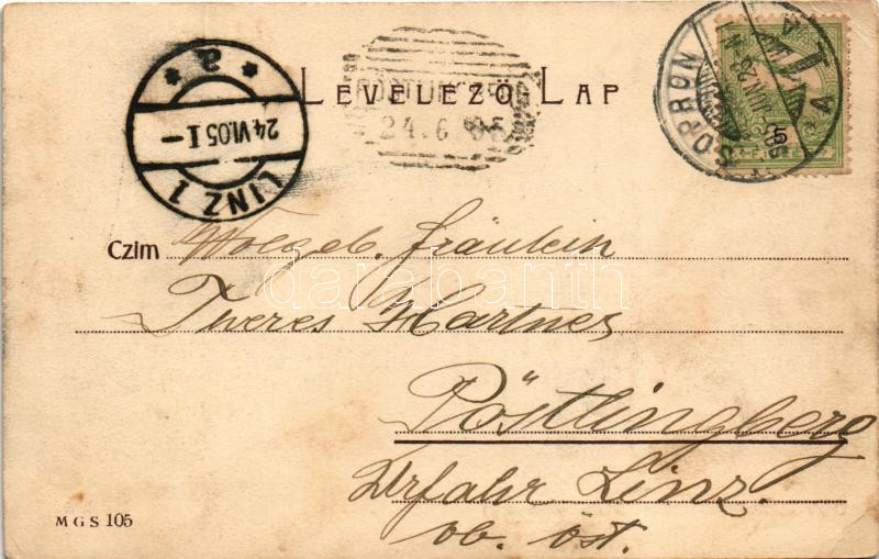 1905 Sopron, Oedenburg; Ikvahíd, SVEV villamos, gyógyszertár, Várkerület 38-40. üzlete (EK) - Image 2