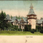Sinaia, Castelul Peles / castle. Editura J. Schwarzfeld (fl)