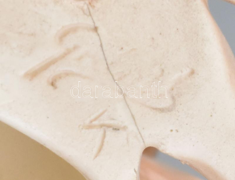 Gránit őzike. Mázas kerámia, jelzett, apró lepattanással, repedéssel, h: 20 cm - Image 3